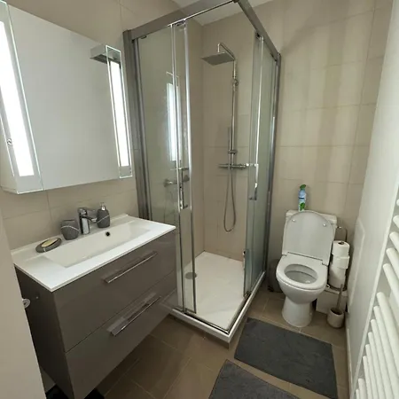 Apartment Center Rue Paccard Chamonix