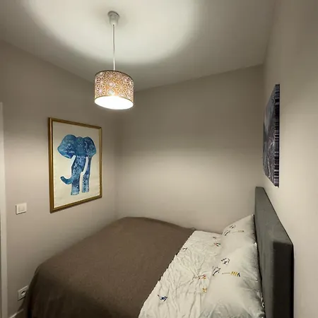 Center Rue Paccard *