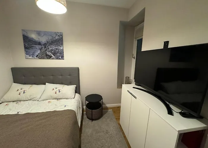 Apartamento Center Rue Paccard *
