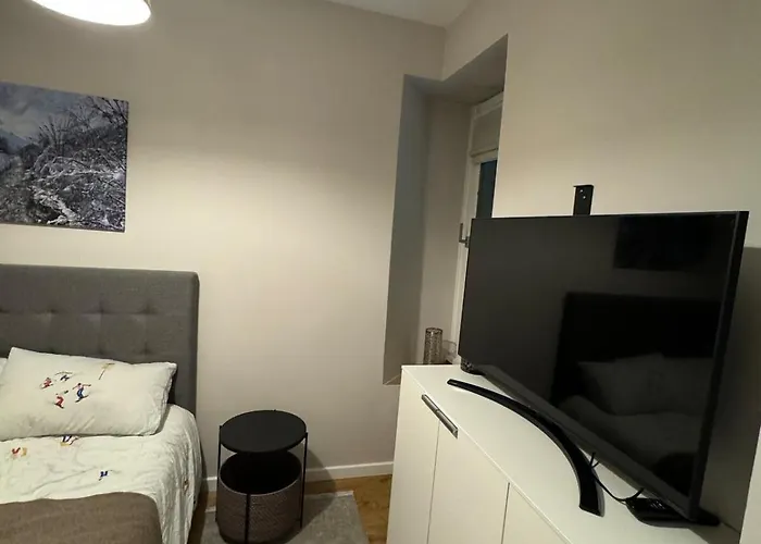 Center Rue Paccard Apartamento