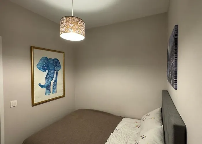 Center Rue Paccard *